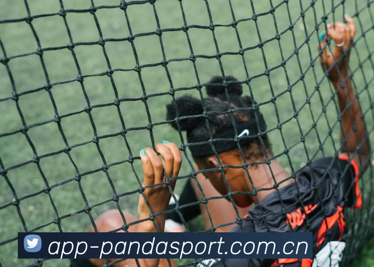 熊猫体育品牌故事